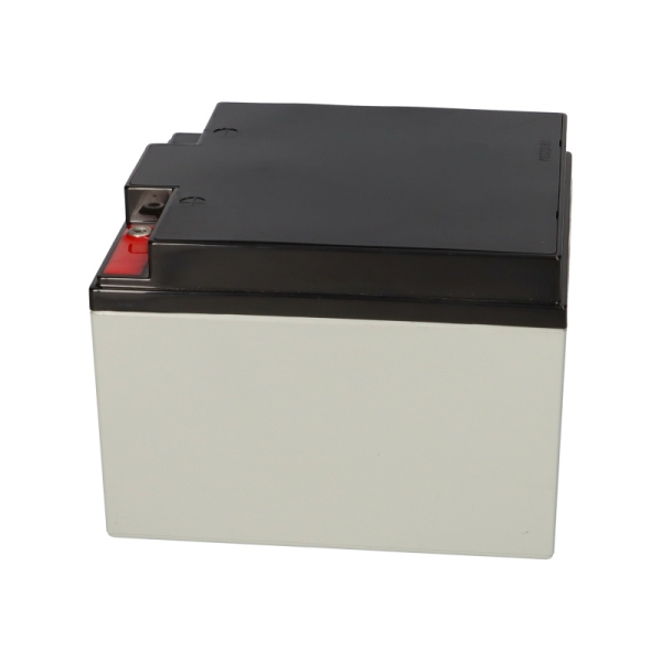 Yuasa Blei-Akku NP24-12I Pb 12V